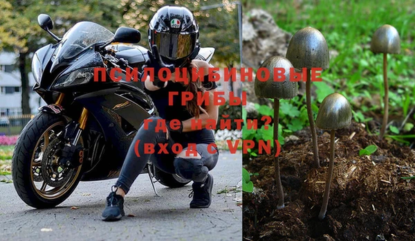 кокс Алексин