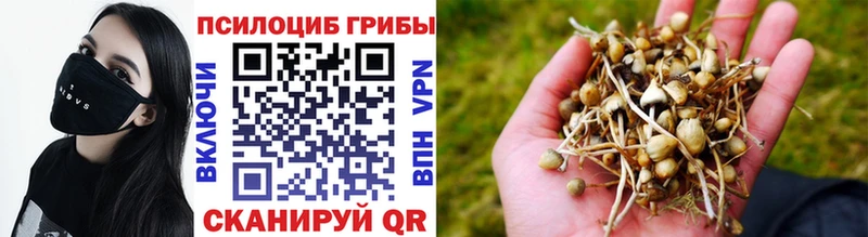 МЕГА ONION Мыски Псилоцибиновые грибы Psilocybe