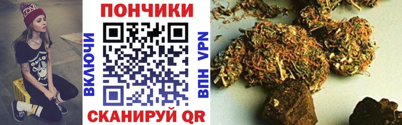 Марихуана Bruce Banner  Мыски 